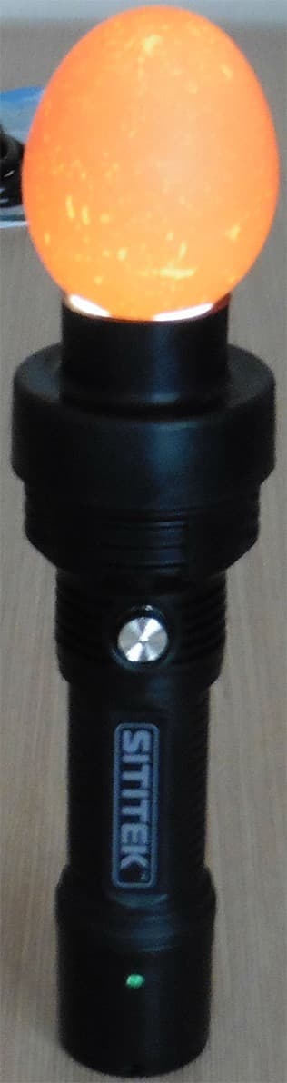 Купить Инкубатор для домашней птицы с автоматическим поворотом, терморегулятором и гигрометром SITITEK 112 в каталоге интернет магазина Наблюдалка.ру по выгодной цене с доставкой, отзывы, фотографии, описание, характеристики